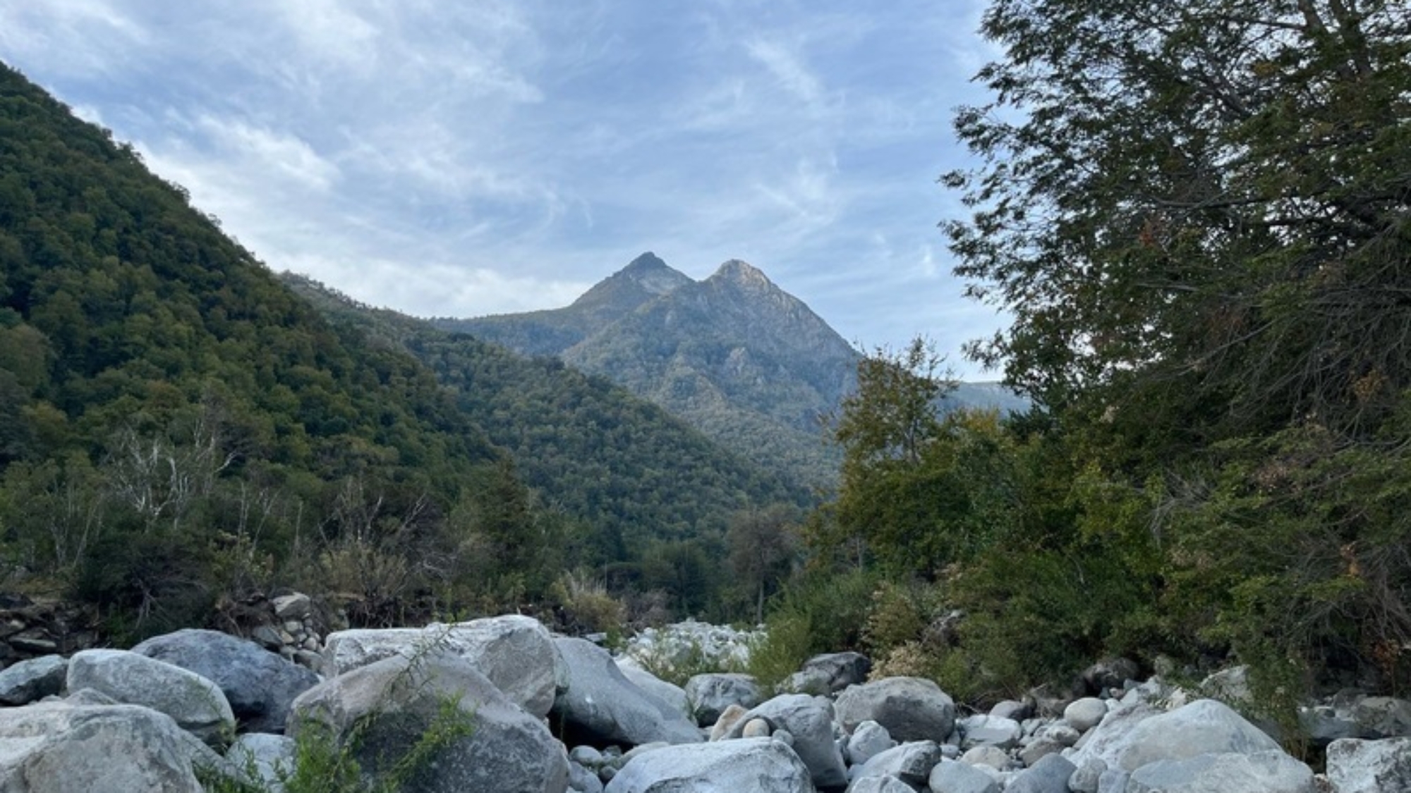 1d13ba22-b953-46e5-95ef-5b8e7d9a28a3