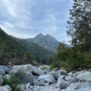 1d13ba22-b953-46e5-95ef-5b8e7d9a28a3