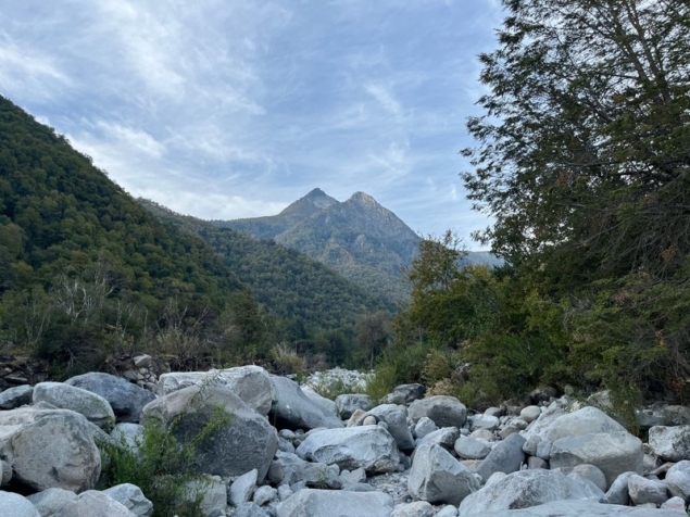 1d13ba22-b953-46e5-95ef-5b8e7d9a28a3