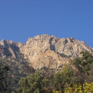 3074078a-77ee-4bb6-ab35-35c6b81d1944