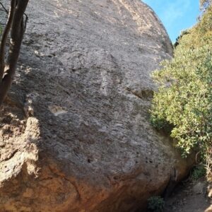 39ecf968-e649-420c-81c9-a12ab0354738