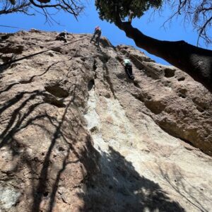 442e01dc-39a4-421f-ac1e-982ac033b8ff