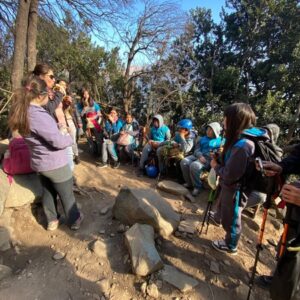 8097d784-695b-4d3f-a10f-3fc46bf023f0