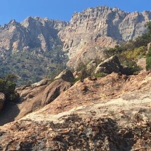 b9a9f11a-3366-49fb-8c12-c8929083d861