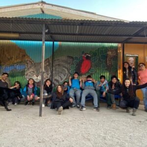 cf9a1976-4797-438b-bd63-69f7695c138d