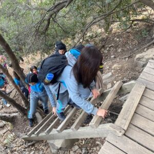 fbaadd04-0aa5-4238-b6c5-baf59bb7a0e4